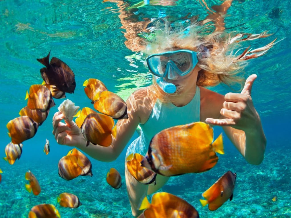 Best Snorkeling Tour in Bavaro, Punta Cana Dominican Republic