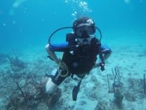 12 Bavaro Excursions to choose from.