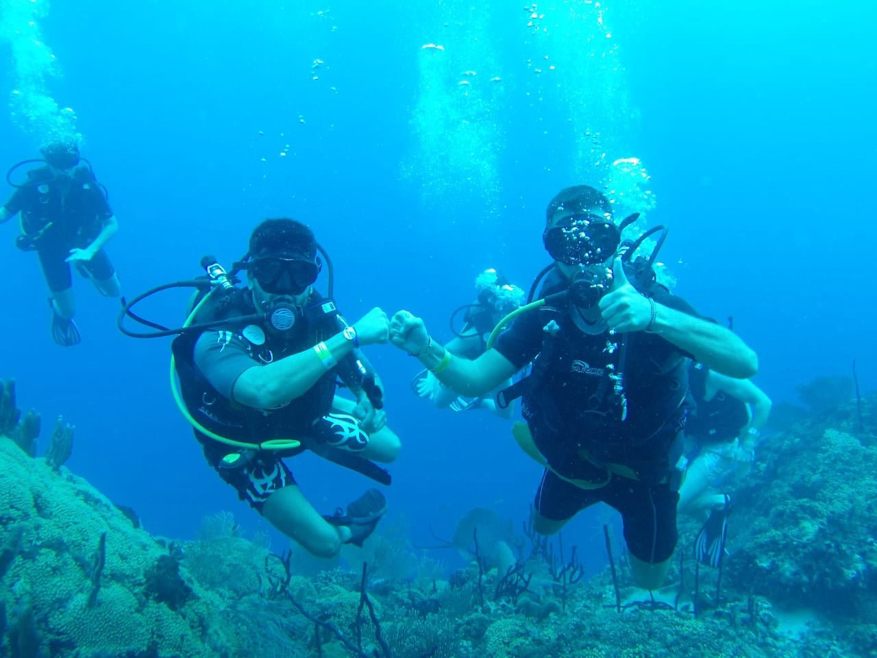 Scuba Diving at Catalina island from Bavaro, Punta Cana Dominican Republic