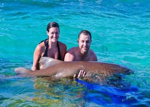 See SHARKS in Bavaro Punta Cana Dominican Republic - Catch a SAILFISH!