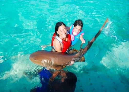 Swim with SHARKS - Bavaro Best Activities To Do in Dominican Republic.